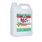 Prodiflore Cranberry 5L surodorant professionnel parfum cranberry