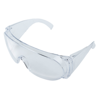 Paire de lunettes protection Standard